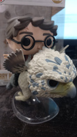 Фигурка Funko POP! Rides Harry Potter POA Harry Potter and Buckbeak (123) 76008 #3, Ксения