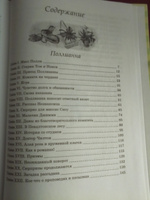 Всё о Поллианне | Портер Элинор Ходжман #6, И. Т.