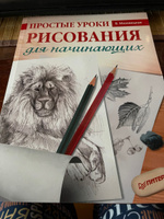 Простые уроки рисования для начинающих | Мазовецкая Виктория Владимировна #2, Светлана К.