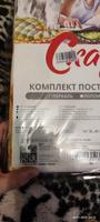 Постельное белье Сказка "Котята" 1,5-спальный на молнии Наволочка 50х70 см 1 шт Простынь 150х215 см Пододеяльник 145х205 см перкаль #103, Алена П.