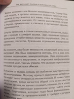 Человек сутулый. Как занятым и ленивым добиться идеальной осанки | Устинов Алексей Владимирович #2, Д-р. П