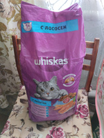 Whiskas / Сухой корм Вискас для взрослых кошек подушечки-паштет с Лососем 5 кг #1, Татьяна К.