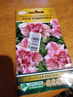 Эшшольция калифорнийская РОЗА РОМАНТИКА, 1 пакет, семена 20 шт, Евросемена #17, Светлана С.