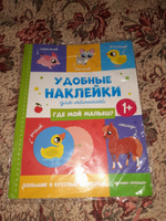 Где мой малыш? Книжка с наклейками для малышей 1+ #6, Виктория Ч.