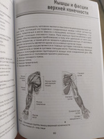 Анатомия мышц. Учебное пособие | Гурова Ольга Александровна, Козлов Валентин Иванович #5, Надежда Ч.