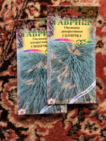 2 упаковки семян ОВСЯНИЦА Синичка + ПОДАРОК. Невысокая многолетняя трава с сине-серыми листьями для Альпийской горки, яркого газона, клумбы или рокария #34, Наталья О.