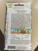 АГАСТАХЕ ПЫШНОЦВЕТ. Семена. Вес. 0,1 гр. Агастахе (лофант) многолетнее, пряно-ароматическое растение-медонос, #30, Наталья