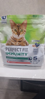 Сухой корм Perfect Fit Immunity для поддержания иммунитета кошек с говядиной, 1,1 кг #5, Марианна Н.