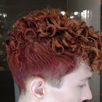 Concept Fresh Up / Оттеночный бальзам для волос Концепт 250 мл / Медный оттенок #5, Роман П.