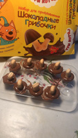 Большой набор для приготовления горячего шоколада и шоколадных грибочков Три кота/ Кондитерский конструктор/ Подарок на Новый год #1, Анна