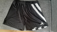 Шорты adidas FORTORE 23 SHORT #25, Никита Л.