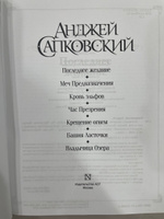 Последнее желание. Меч Предназначения. Кровь эльфов. Час Презрения. Крещение огнем. Башня Ласточки. Владычица Озера | Сапковский Анджей #4, Адель Б.