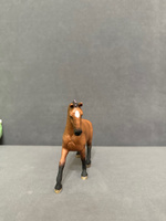 Фигурка "Ганноверская кобыла" Schleich Horse Club/ для детей от 5 лет/ Шляйх 13817 #38, Саша П.