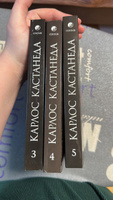 Второе кольцо силы. Дар Орла | Кастанеда Карлос Сезар Арана #3, Наталья Б.