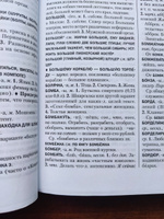 Толковый словарь русского сленга. ГРАМОТА/СЛОВАРИ XXI ВЕКА | Елистратов Владимир Станиславович #7, Анастасия С.