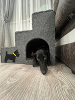 Лестница для собак и кошек полностью из ДСП + ковролин с уютным домиком (55*44*46 - д*ш*в) #6, Ульяна Ц.