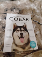 Все породы собак. Большая иллюстрированная энциклопедия | Сафронова Анна Андреевна, Сула Галина Юрьевна #1, Галина О.