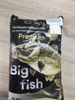 Пылящая Premium прикормка для рыбалки Big Fish от БК Baits Корица #43, Дмитрий И.