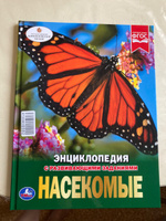 Энциклопедия для детей Насекомые Умка | Волцит Петр Михайлович #6, Евгения К.