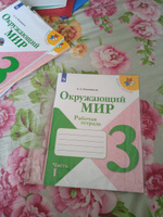 Окружающий мир 3 класс. Рабочая тетрадь в 2-х частях. Комплект из 2-х тетрадей. ФГОС. УМК "Школа России" | Плешаков Андрей Анатольевич #8, Елена Ч.