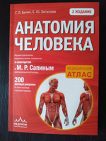 Анатомия человека (цветной атлас): 2 издание | Билич Габриэль Лазаревич, Зигалова Елена Юрьевна #4, Елена К.