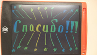 Графический электронный цветной планшет для рисования детский со стилусом 8,5 дюймов красный #56, Максим П.