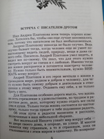 Неизвестный цветок Платонов А.П. Школьная библиотека Детская литература рассказы Книги для детей 4 5 класс | Платонов Андрей Платонович, Платонов А. П. #5, Елизавета Ч.