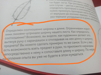 Скетчбук по ботанической иллюстрации. Простые пошаговые уроки по ...