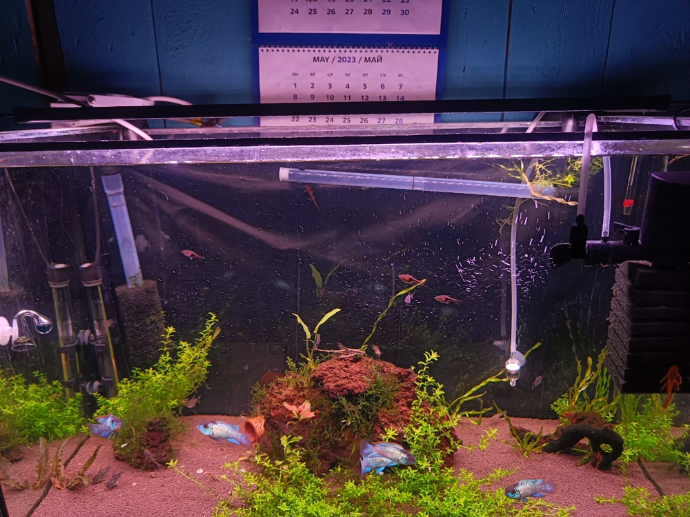 Светильник для аквариума FLOS PRO 300 WRGB 30 - 45 см 24W, IP68 с ...