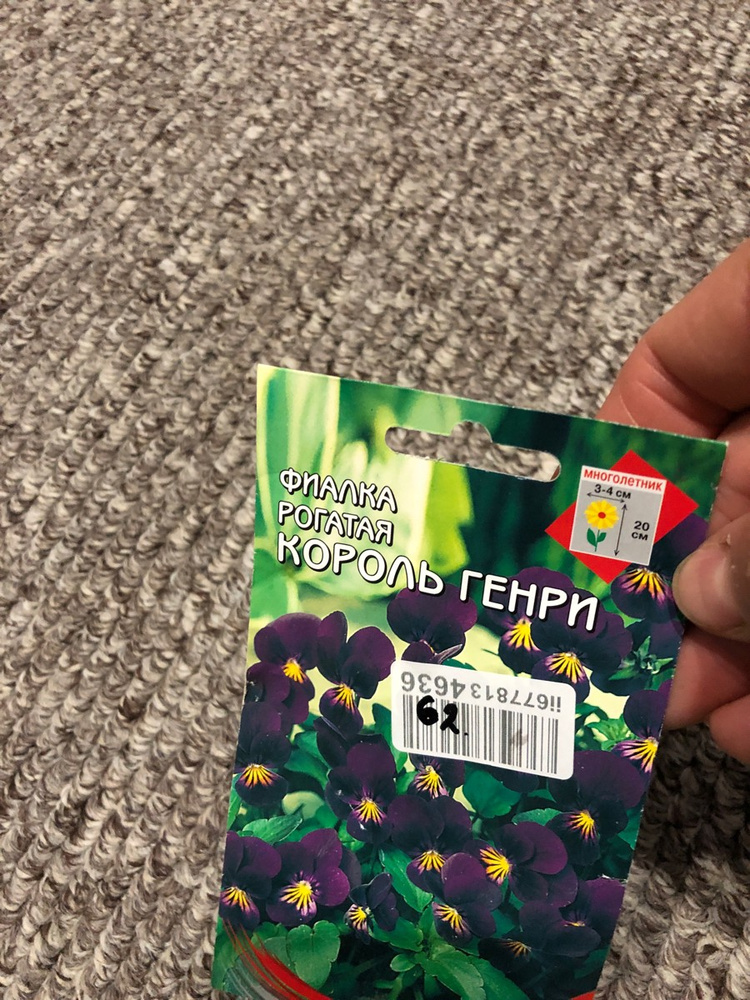 Декоративные разные, Многолетники для альпийской горки Дом Семян Фиалка ...