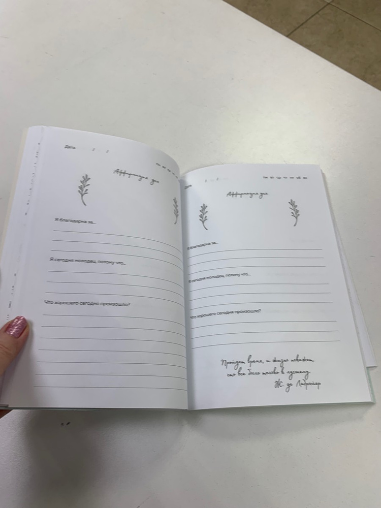 Дневник благодарности. 90 дней, которые станут началом удивительных ...