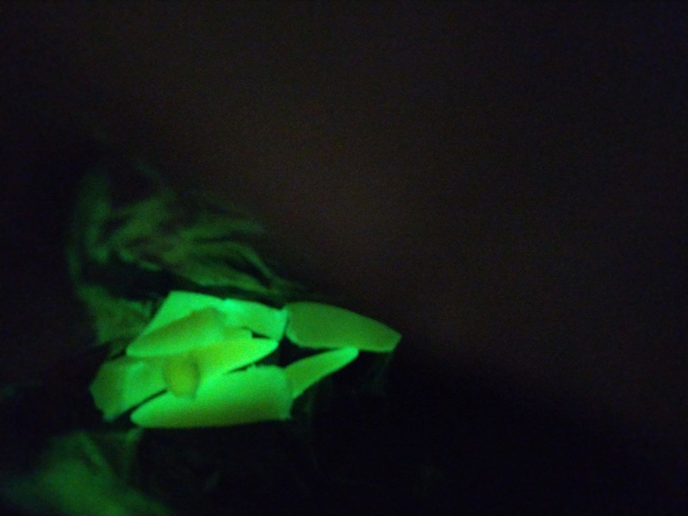 Люминофор (Фотолюминесцентный пигмент), Зелёное свечение 20 гр ...