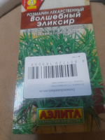 Розмарин семена Волшебный эликсир, семена для сада Аэлита, 20шт семян #37, Светлана М.