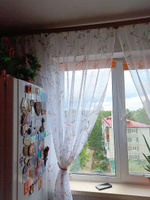 Curtain & Textile Тюль высота 190 см, ширина 300 см, крепление - Лента, Белый,светло-коричневый #81, Наталья Н.