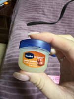 VASELINE Бальзам для губ LIP CARE с маслом какао (в баночке), 7 г #37, Ольга С.