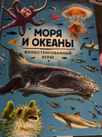 Моря и океаны. Иллюстрированный атлас #4, Ирина Х.