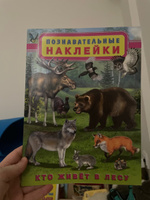 Комплект книг с познавательными наклейками #5, Светлана О.