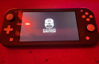 Nintendo switch lite picofly. Игры на нинтендо свитч лайт. Rp2040 nintendo switch. Rp2040 nintendo switch. Самый дешевый nintendo switch оригинал.