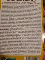 Космея дваждыперистая ПУРПУРНОЕ ОБЛАЧКО, 1 пакет, семена 0,1 гр, Евросемена #56, Елена