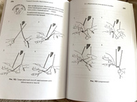 Хирургический шов. 3-е изд., обновленное | Петришин Владимир Леонидович, Семенов Геннадий Михайлович #2, Наталья К.