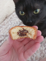 Пирожное Monfi torty, нежный воздушный бисквит с шоколадной начинкой 27г х20 шт #3, Светлана Р.
