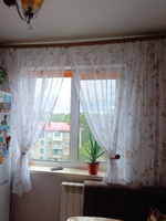 Curtain & Textile Тюль высота 190 см, ширина 300 см, крепление - Лента, Белый,светло-коричневый #80, Наталья Н.