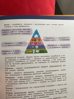 Изучай и пробуй. Большая книга о профессиях с заданиями | Бикич Весна, Макгауан Крис #1, Анастасия Т.