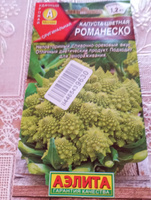 Капуста цветная Романеско #32, Ирина Р.