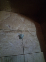 Камень Малиновый кварцит колотый (коробка 20кг) #5, Тишковец А.