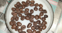 Кофе в зернах 1 кг БРАЗИЛИЯ МОДЖИАНА 100% Арабика, Roast Republic #6, Марина П.