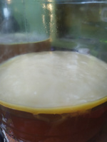Чайный гриб, закваска для выращивания чайного гриба #6, Данил К.