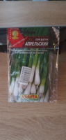 Семена лука на зелень, Лук Батун апрельский семена Агрофирма АЭЛИТА, 1г #40, Виктор С.