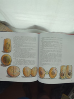 Тайны анатомии | Доннер Кэрол #1, Анна Р.