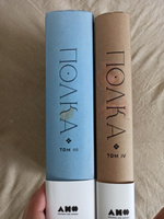 Полка: О главных книгах русской литературы (том 3,4) Художественная ...